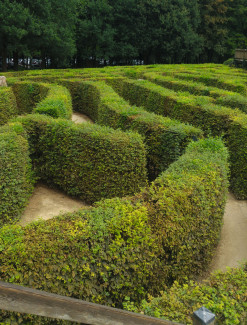 Labyrinth-Garten - Epiphanias